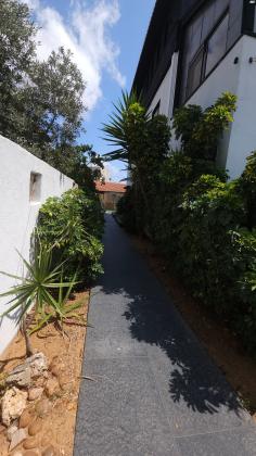 מלכי ישראל 14 (נווה אליהו)