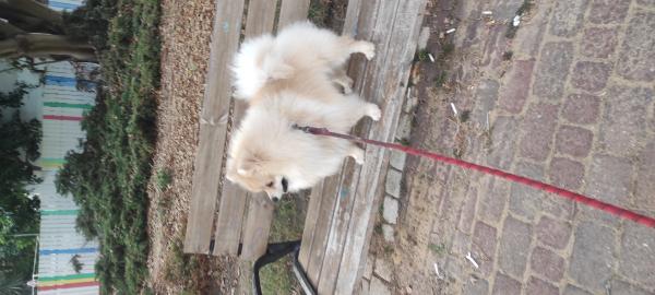 למכירה, עקב חוסר זמן, יפיוף