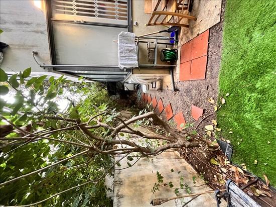 דירת גן 2 חדרים למכירה בתל אביב יפו | ישראליס | הצפון הישן