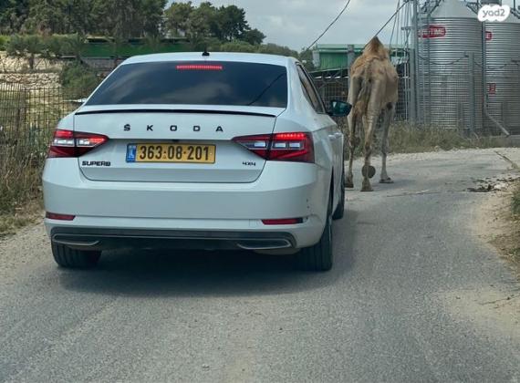 סקודה סופרב (עד 2019) Sportline אוט' 2.0 (220 כ''ס) בנזין 2018 למכירה באום אל פחם