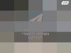 טויוטה קורולה GLI רובוטית 1.6 (124 כ"ס) בנזין 2009 למכירה בירוש