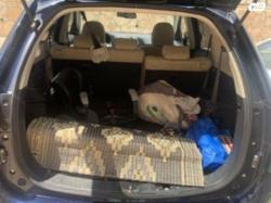 מיצובישי אאוטלנדר Instyle אוט' 7 מק' 2.0 (150 כ"ס) בנזין 2017 למכיר