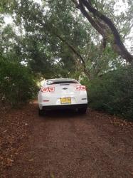 שברולט מאליבו LT אוט' 2.0 (259 כ''ס) בנזין 2014 למכירה בכפר קרע