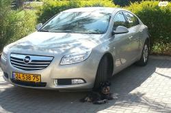 אופל אינסיגניה Edition הצ'בק אוט' 2.0 (220 כ''ס) בנזין 2011 למכירה 
