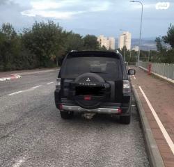 מיצובישי פג'רו ארוך 4X4 Desert אוט' דיזל 7 מק' 3.2 (200 כ"ס) דיזל 201