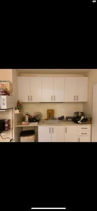 אליהו הנביא 40 (הדר)