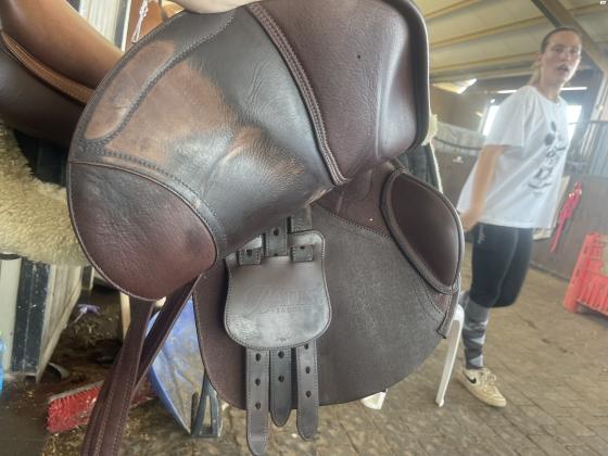 אוקף חדש בן 4 חודשיםשל