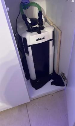 מיכל ג״אוול 1