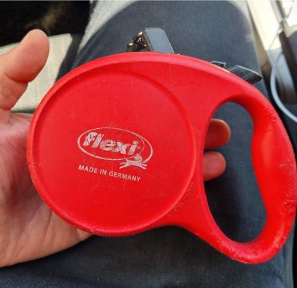 רצועה מצויינת ןנוחה של חברת flexi לכלב