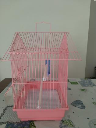 כלוב לתוכי איכותי מאוד!כלוב עם