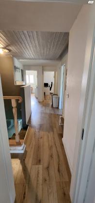 השיקמים 50 (רמתיים)