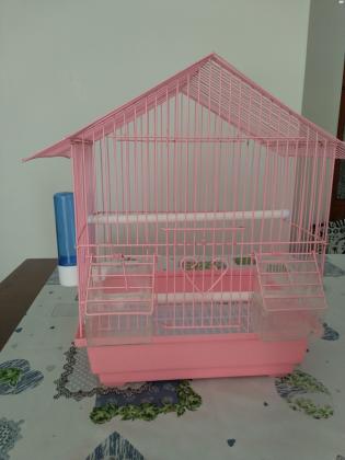 כלוב לתוכי איכותי מאוד!כלוב עם