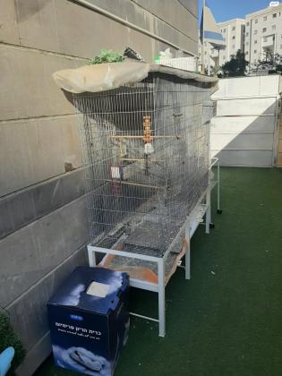 כלוב גדול מידות: 150×46 גובה