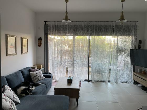 לוי אשכול 20