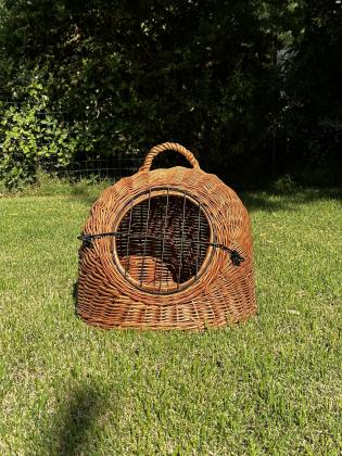 כלוב נשיאה לחתול, יכול להתאים