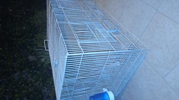 מציאה כלוב תוכים אם