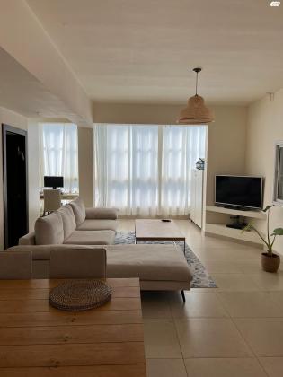 שיינקין 40 (שיינקין)