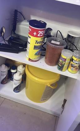 מיכל ג״אוול 1