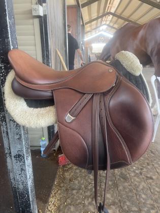 אוקף חדש בן 4 חודשיםשל