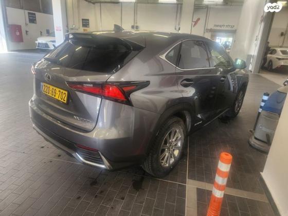 לקסוס NX NX300H Luxury הייבריד אוט' 2.5 (155 כ''ס) בנזין 2020 למכירה באלקנה