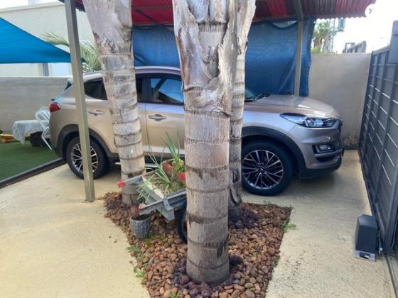 יונדאי טוסון Prime Plus אוט' בנזין 2.0 (155 כ"ס) בנזין 2019 למכירה בנהורה