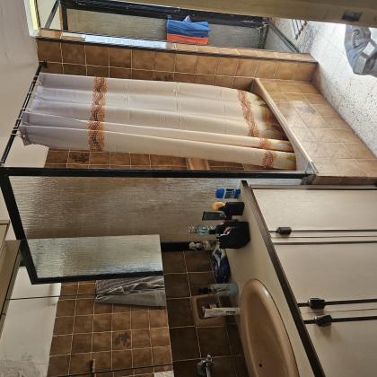 המבוא (שיינקין)