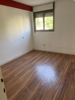 אידמית 6 (תל גנים)