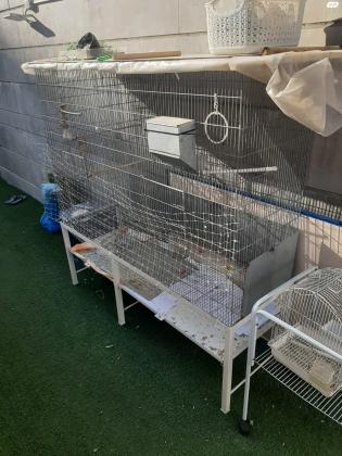 כלוב גדול מידות: 150×46 גובה