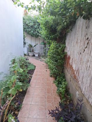 השיטה 17 (נאות הדקל)