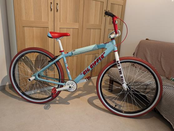 אופני בי אמ אקס ווויליSE