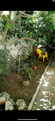 הרופא זלוצ'יסטי 42 (אחוזה)