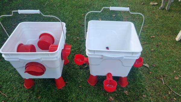 מיכלים למים ואוכל לציפורים/עופות 8