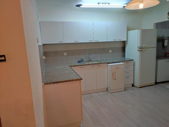 עין גדי 4 (ג'סי כהן)