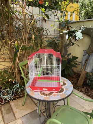 כלוב לפינקים או תוכי קטן