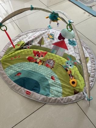 אוניברסיטה מרווחת, כוללת מוסיקה ואפשרות