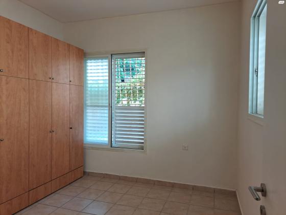 שיינקין 84 (שיינקין)