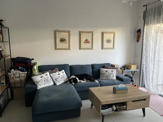 לוי אשכול 20