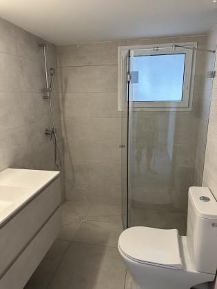 אנשי בראשית 8 (הדר)