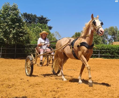 רתמת ספורט ביוטן בצבע ברונזה,עיצוב