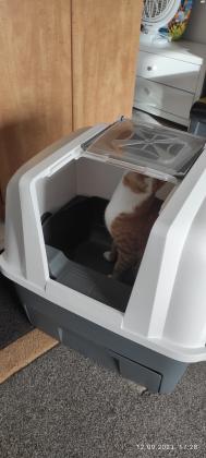 למכירה סמארטסיפט שירותים הייטק חצי