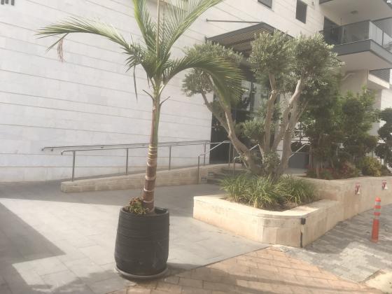 מיכאל סיטרמן 10 (נחלת יהודה)