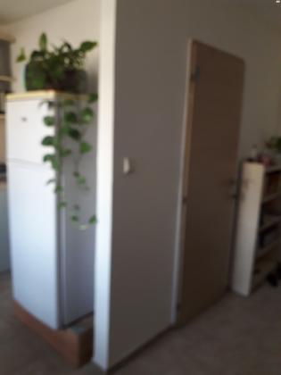 גמל 1 (שכונה ה)