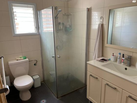 שיינקין 40 (שיינקין)