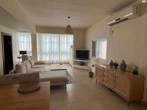 שיינקין 40 (שיינקין)