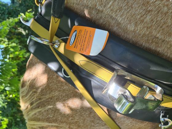 רתמת ספורט ביוטן בצבע ברונזה,עיצוב