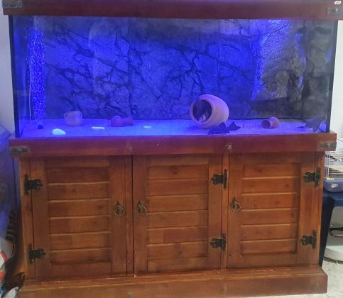 אקווריום 500 ליטר למכירה במצב