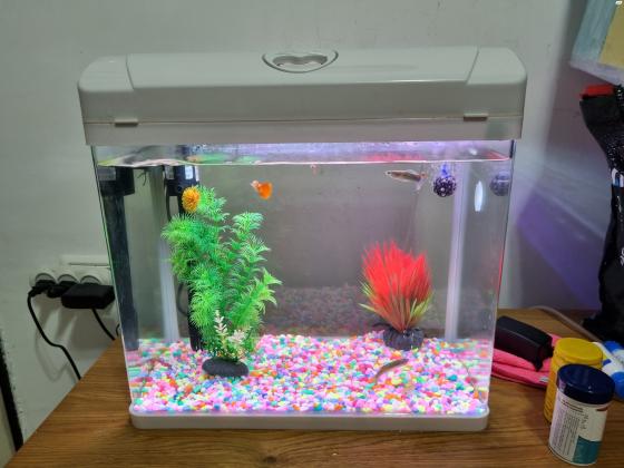 אקווריום חדש כולל כל האביזריםגודל