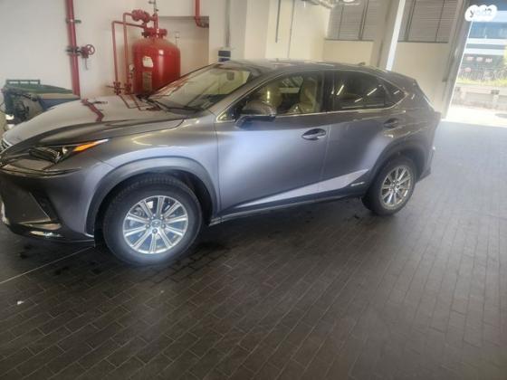 לקסוס NX NX300H Luxury הייבריד אוט' 2.5 (155 כ''ס) בנזין 2020 למכירה באלקנה