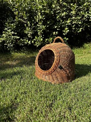 כלוב נשיאה לחתול, יכול להתאים