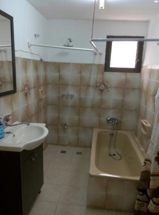 המלך דוד 2 (אוסישקין)